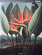 temple of flora : essay and descriptions of plates